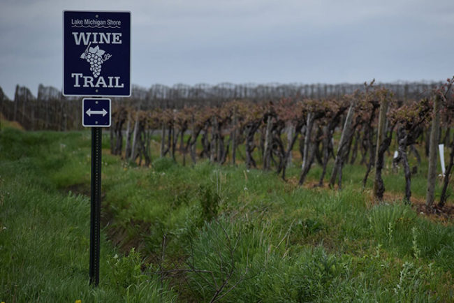 lake michigan shore wine trail tours
