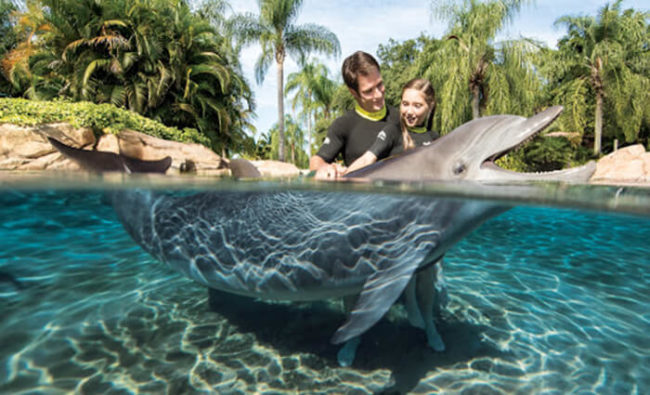 discovery cove orlando pictures