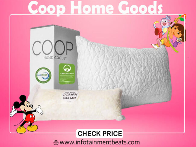 2- Coop Home Goods