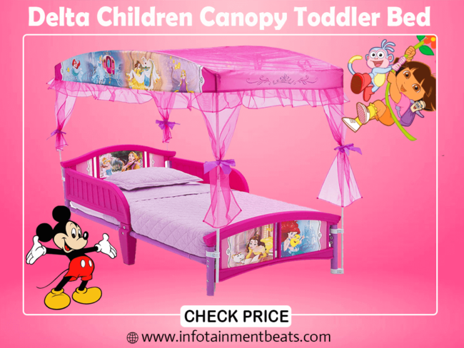 3- Delta Children Canopy Toddler Bed