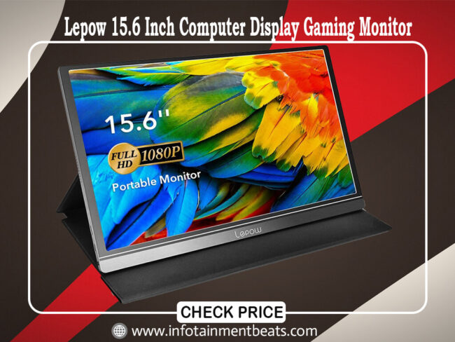 Lepow 15.6 Inch Computer Display Gaming Monitor