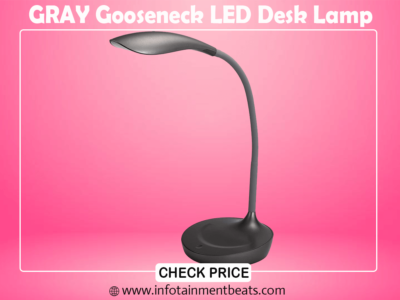 4.GRAY Gooseneck LED Desk Lamp