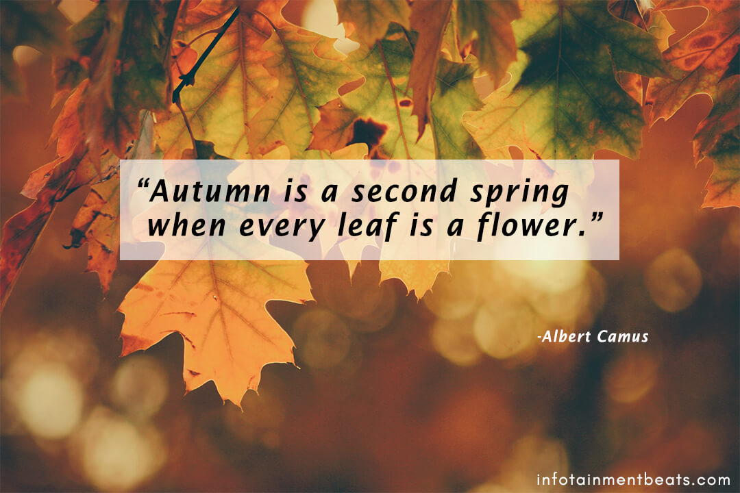 Albert-Camus-quote-about-autumn-season