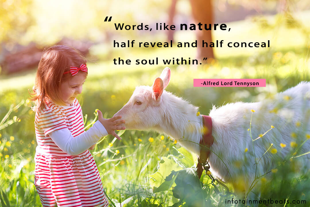 Alfred-Lord-Tennyson-words-like-nature