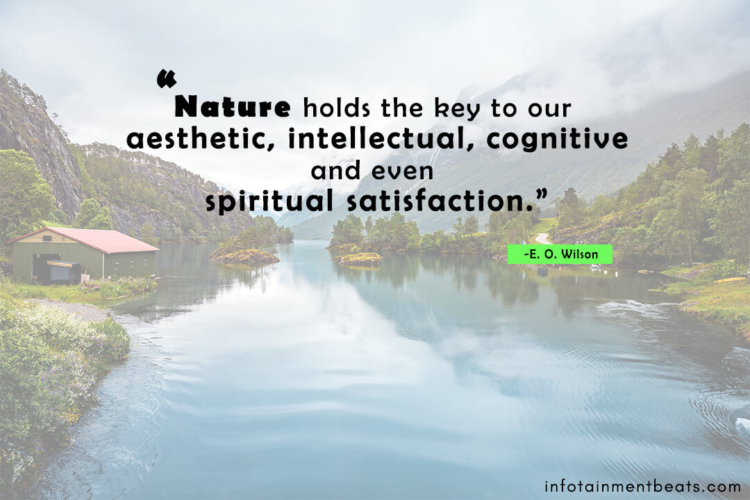 E.-O.-Wilson-quote-about-nature