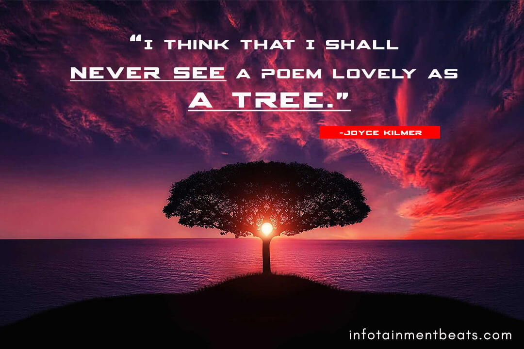 Joyce-Kilmer-quote-about-trees