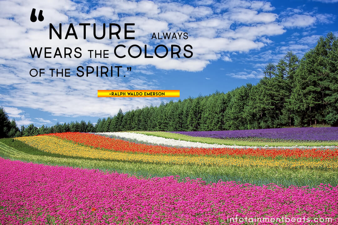 Ralph-Waldo-Emerson-nature-quote