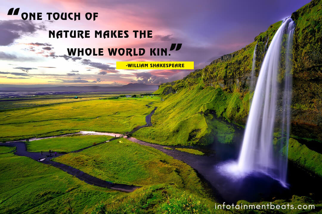 William-Shakespeare-says-about-touching-nature