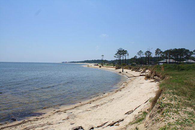 dauphin island alabama beach