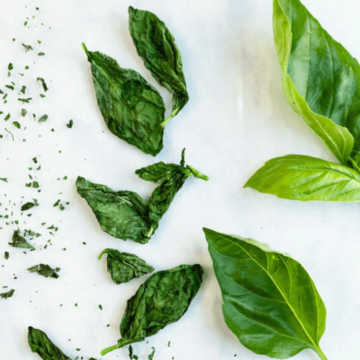 How To Dry Basil
