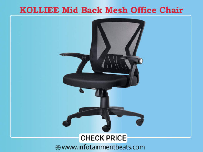 Best Office Chairs For Degenerative Disc Disease