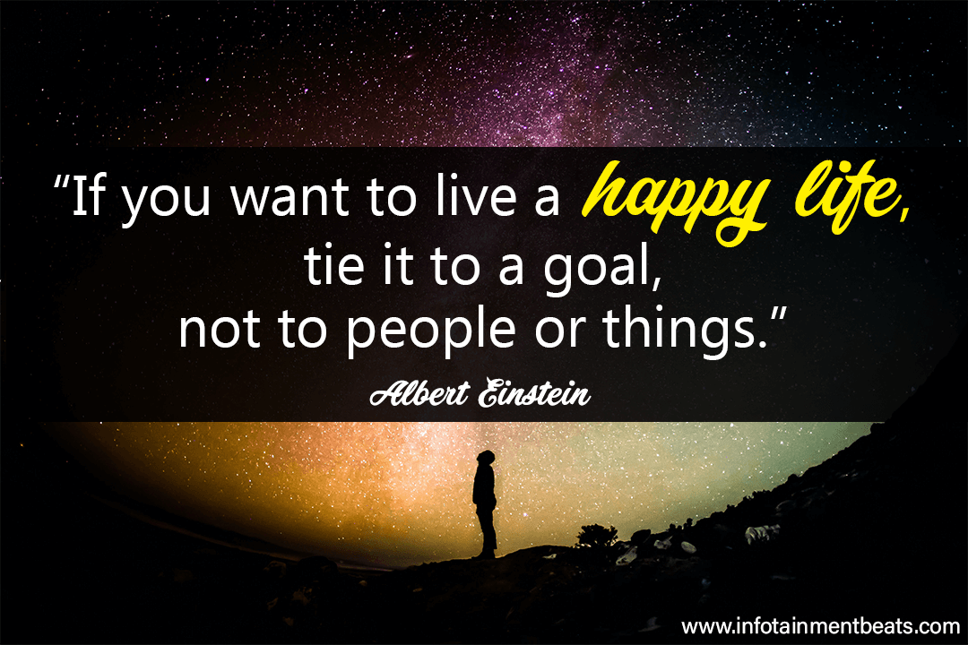 Life Quote By Albert Einstein