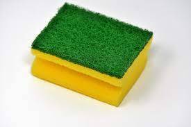 Scrub Sponge Cleaning & Disinfecting Your Home
