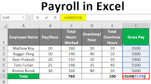 The Payroll Software Must Be Able To Calculate The Payroll