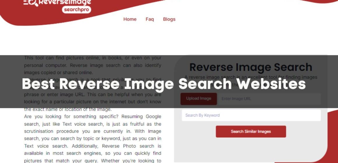 Best Reverse Image Search Websites