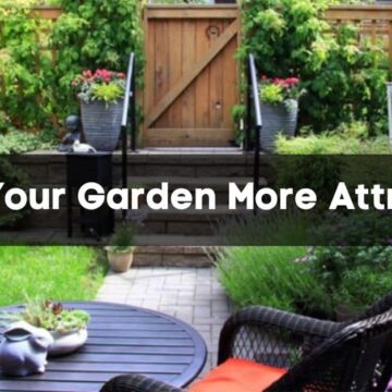 Make Your Garden More Attractive