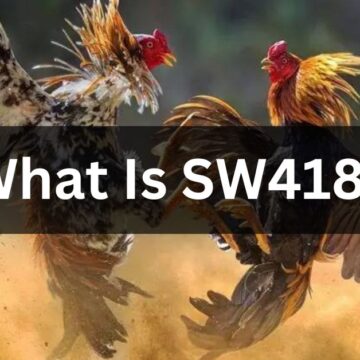 What Is SW418?
