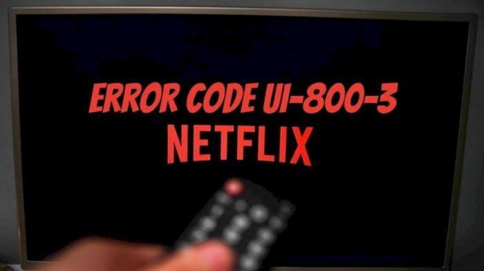 netflix Error Code UI-800-3