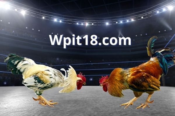 What Is Wpit18?
